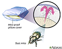 Dust mite-proof pillow cover