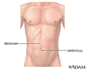 Normal external abdomen